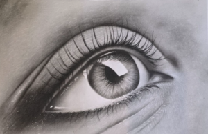 97b58017-98cb-11f0-8df6-0242ac110002-jpg-hero_image